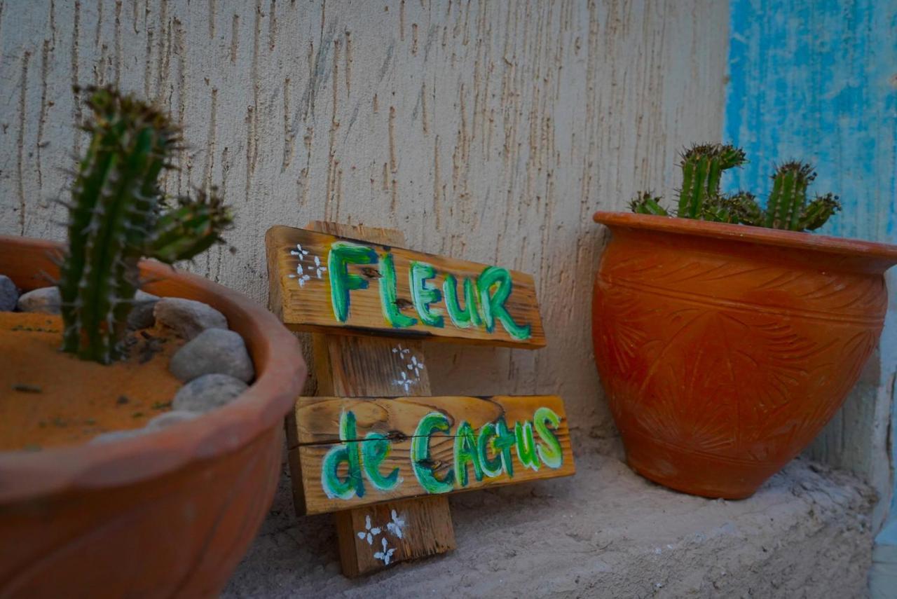 Fleur De Cactus, Guesthouse, Tamraght Exterior photo
